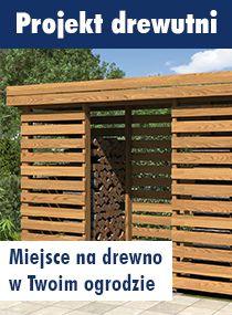 Projekt drewutni